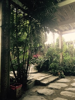 A lush garden with native plants and natural stone pathways under soft sunlight.