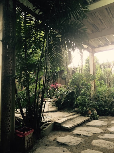 A lush garden with native plants and natural stone pathways under soft sunlight.