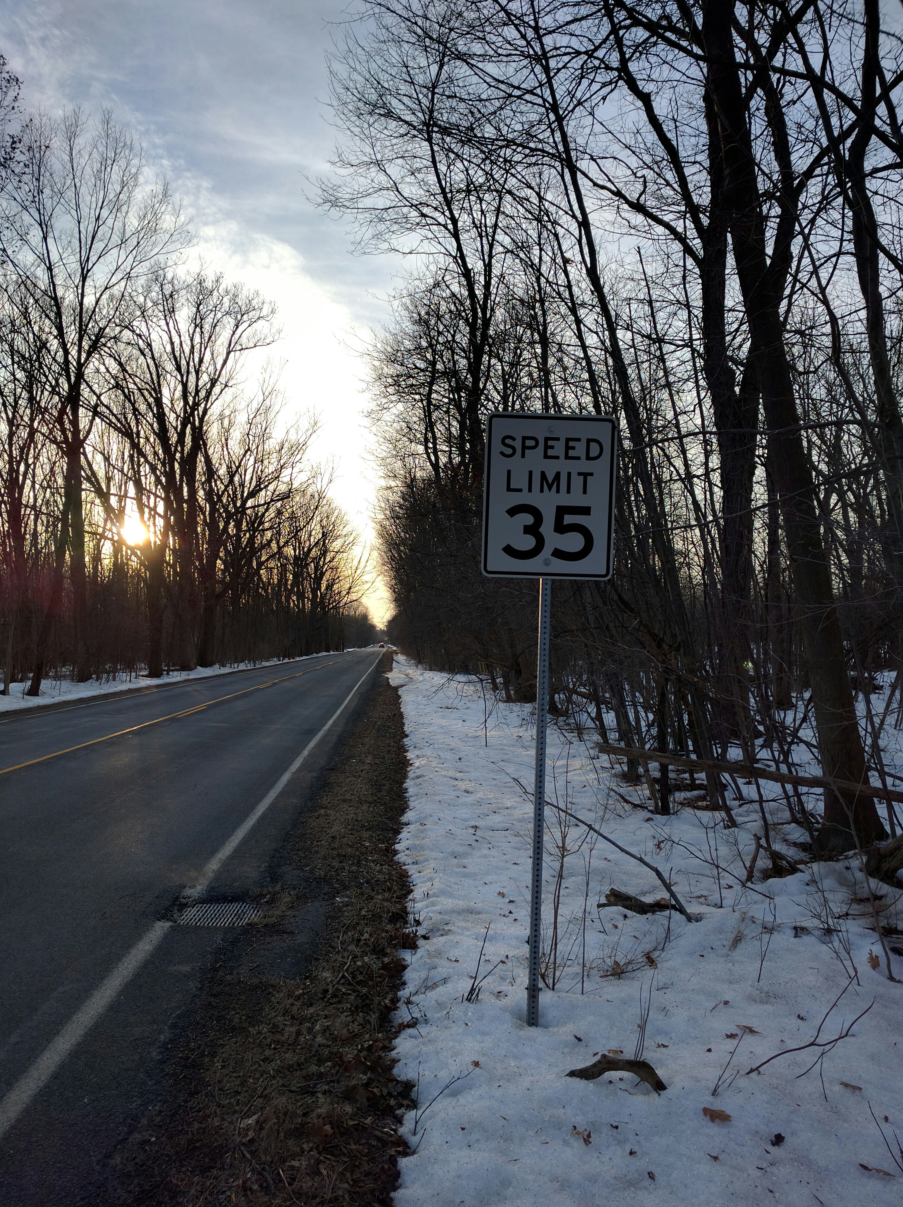 Free Unsplash photo from Saish Menon