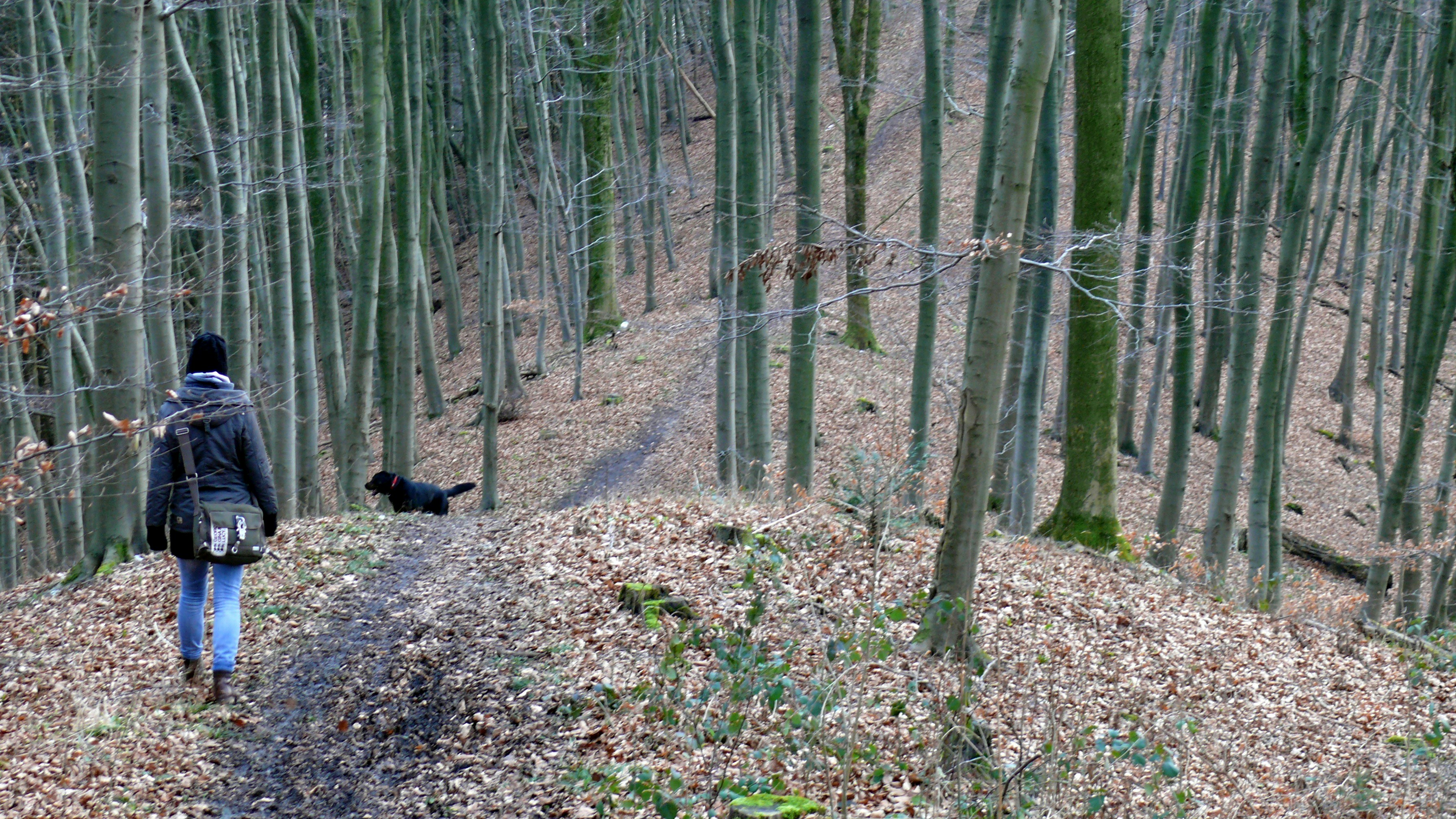 Free Unsplash photo from moeller