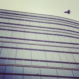 Wide shot of a commercial building in Dwarka fully protected with bird netting.