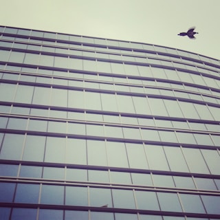 Wide shot of a commercial building in Dwarka fully protected with bird netting.