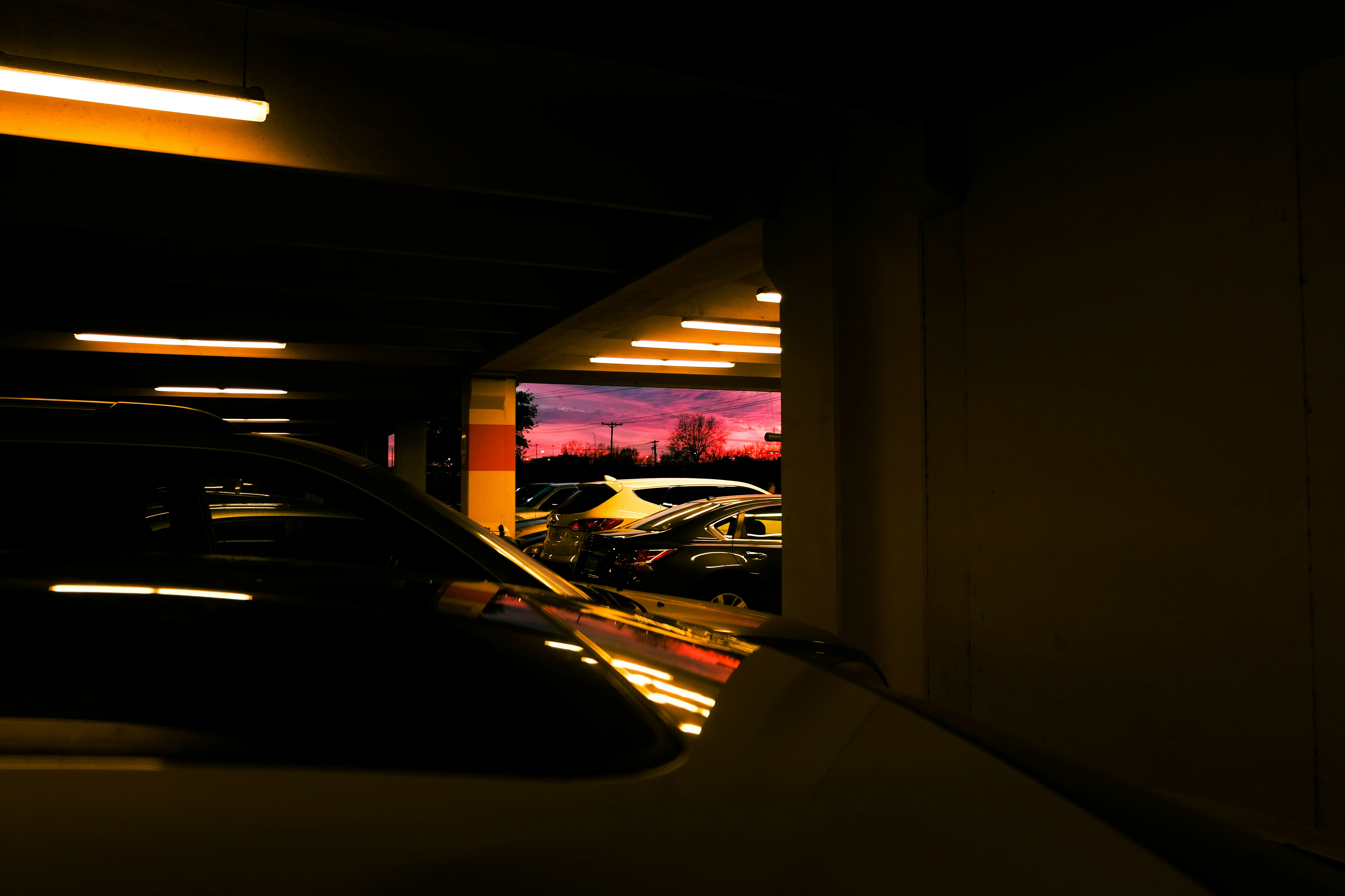 Free Unsplash photo from Shannon Lochridge