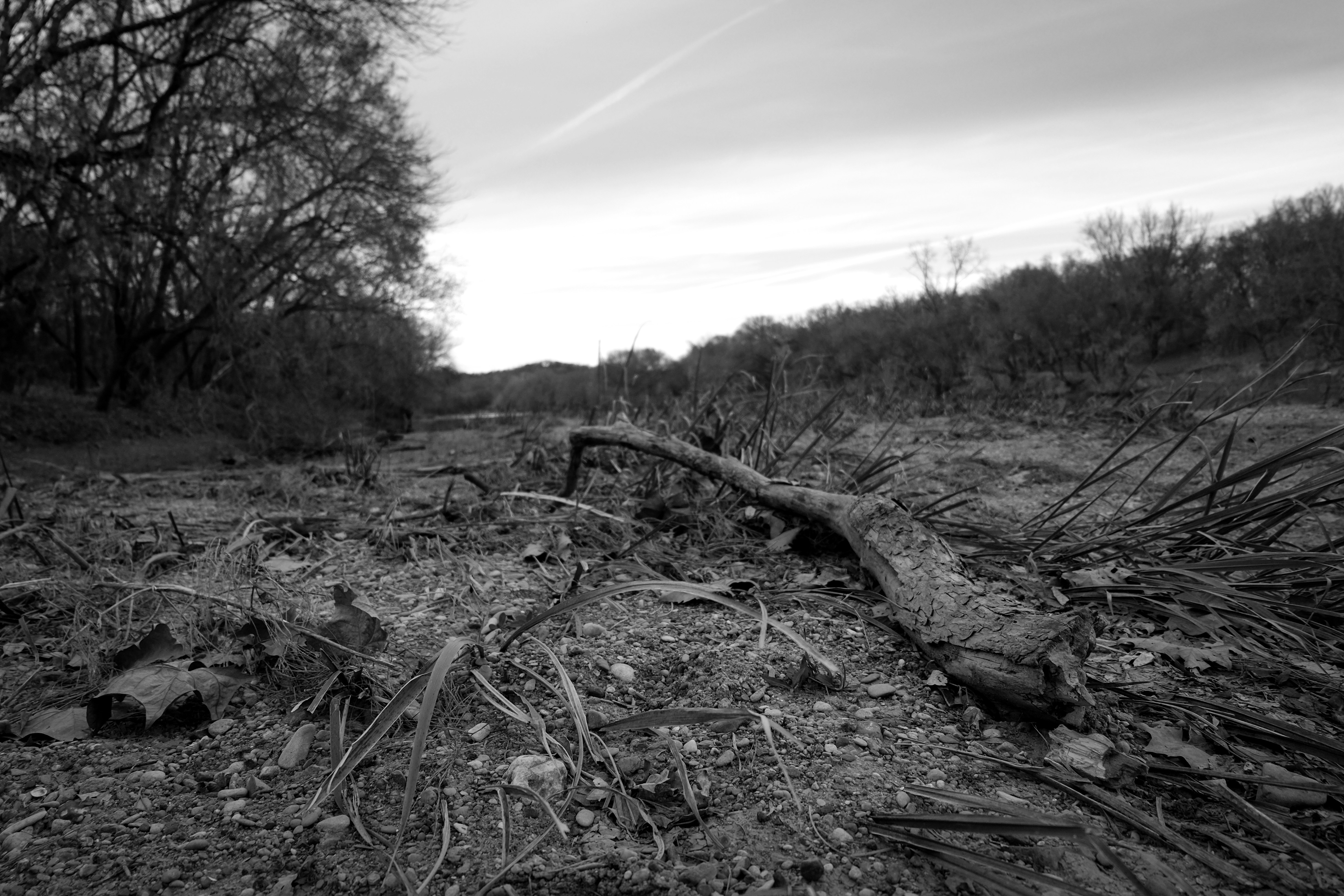 Free Unsplash photo from Shannon Lochridge