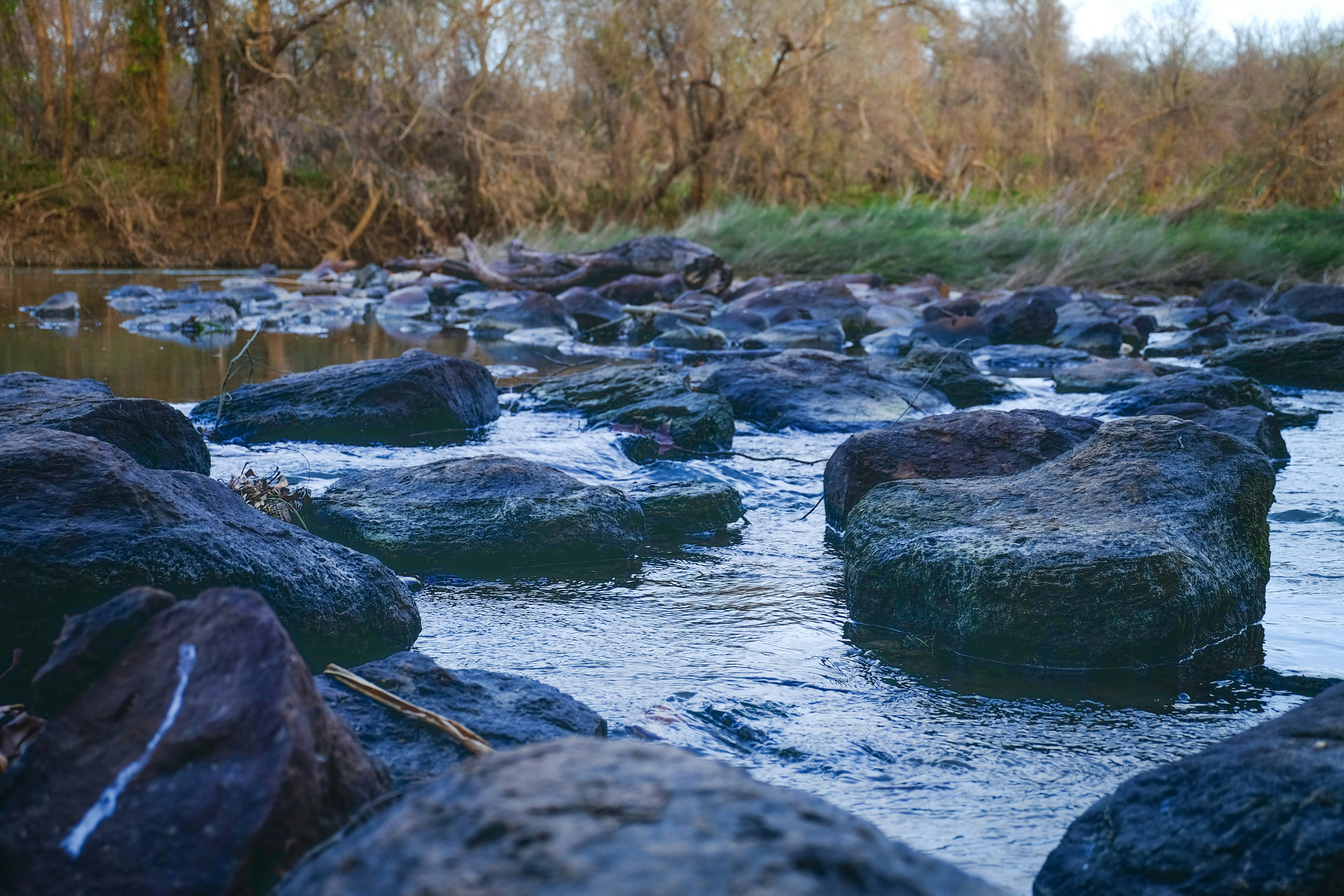 Free Unsplash photo from Shannon Lochridge