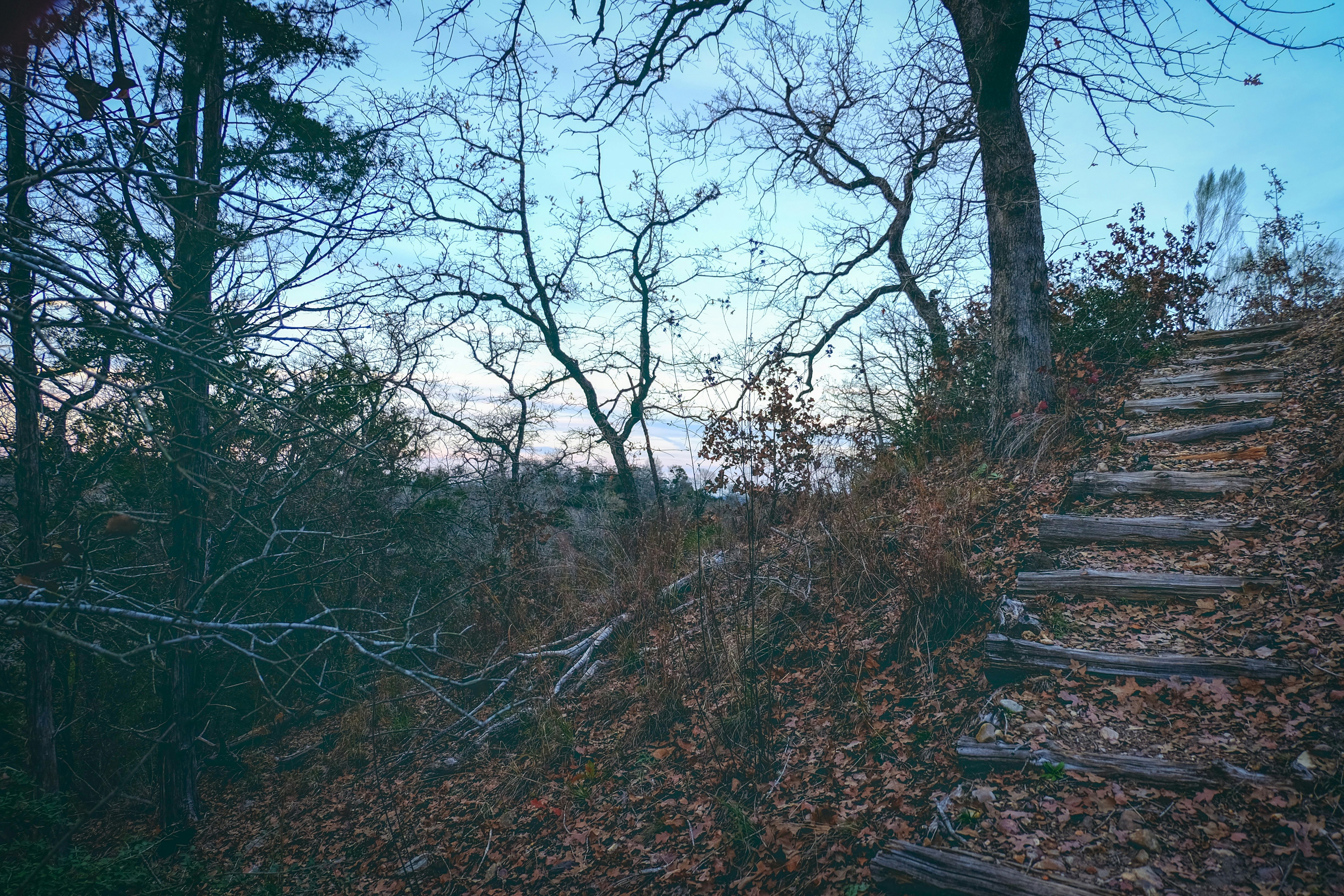 Free Unsplash photo from Shannon Lochridge