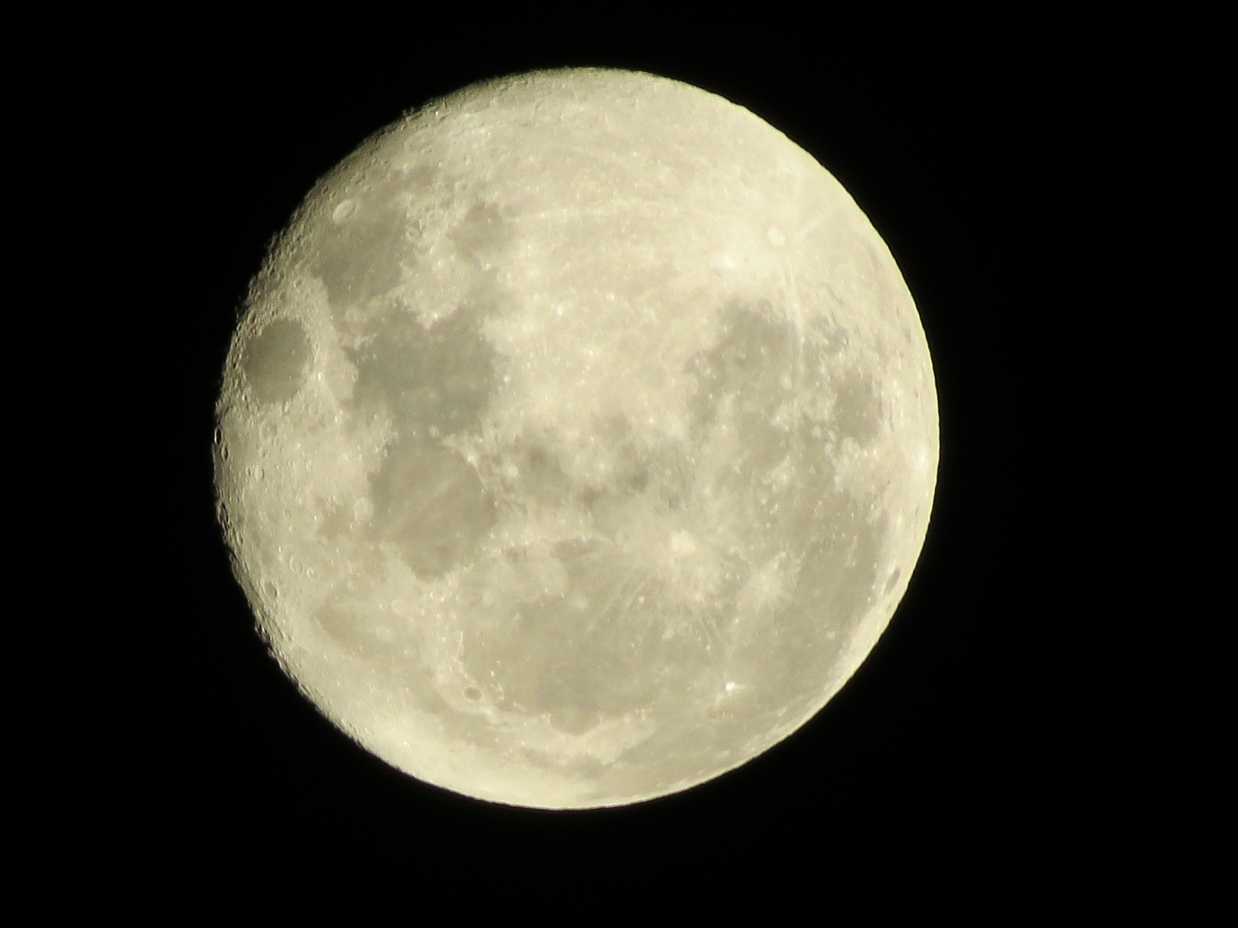 Free Unsplash photo from Francisco Jilberto