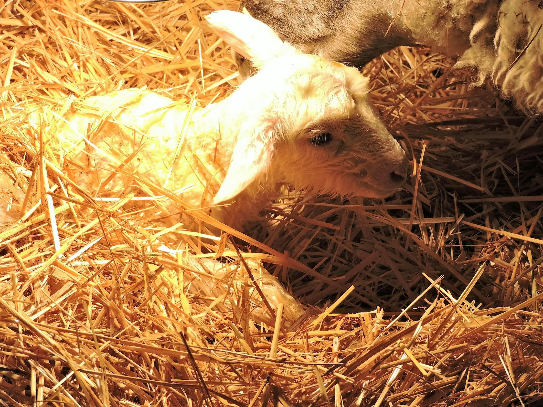 Free Unsplash photo from Lois Maeland