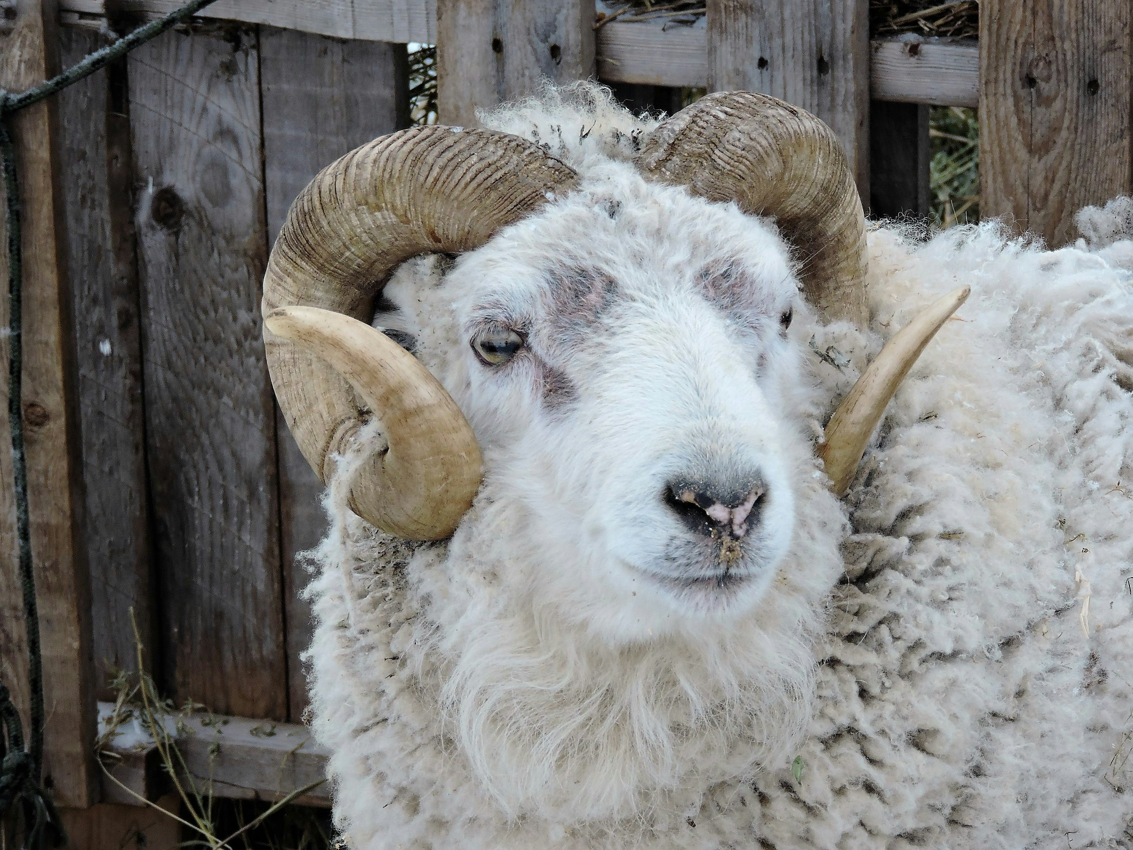 Free Unsplash photo from Lois Maeland