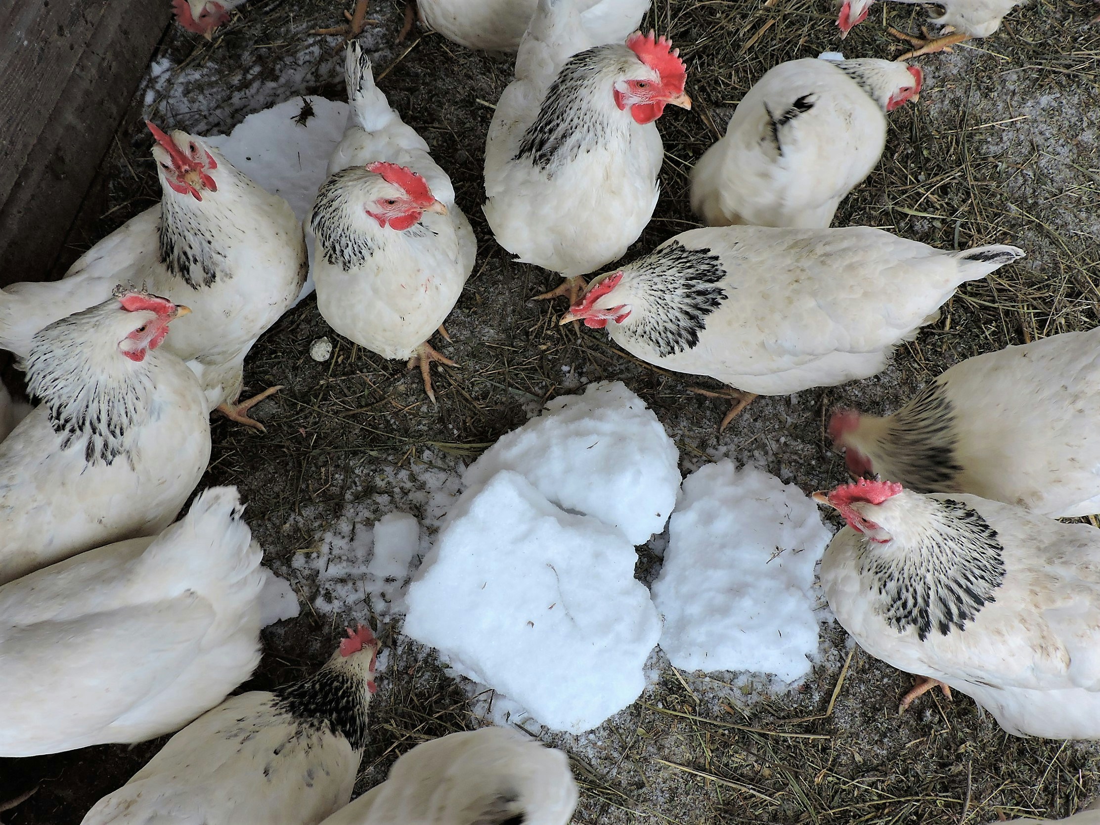 Free Unsplash photo from Lois Maeland