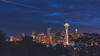 A city skyline at night featuring the iconic Space Needle prominently lit against a dark, cloudy sky. Below, the city is illuminated with numerous lights, creating a vibrant contrast with the night sky. Trees partially frame the foreground, adding depth to the urban scene.