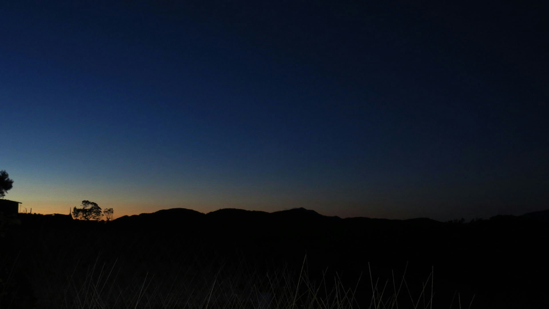 Free Unsplash photo from Tanya Mallillin