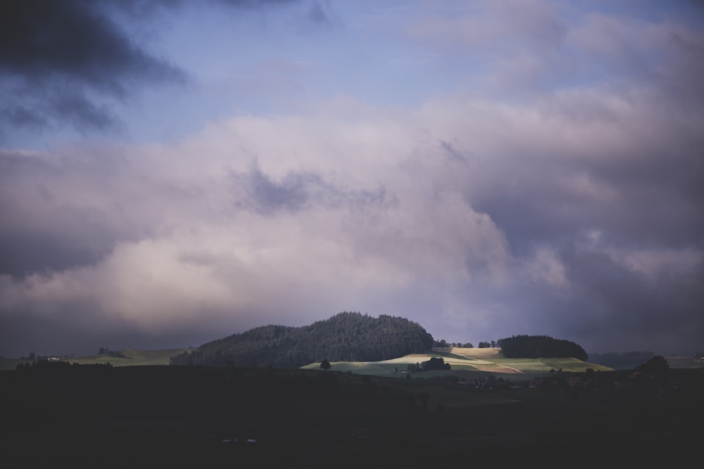 forest on hill under cloudy sky