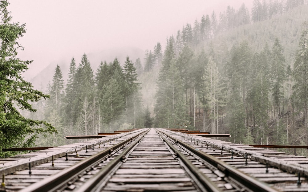 gray steel train rails