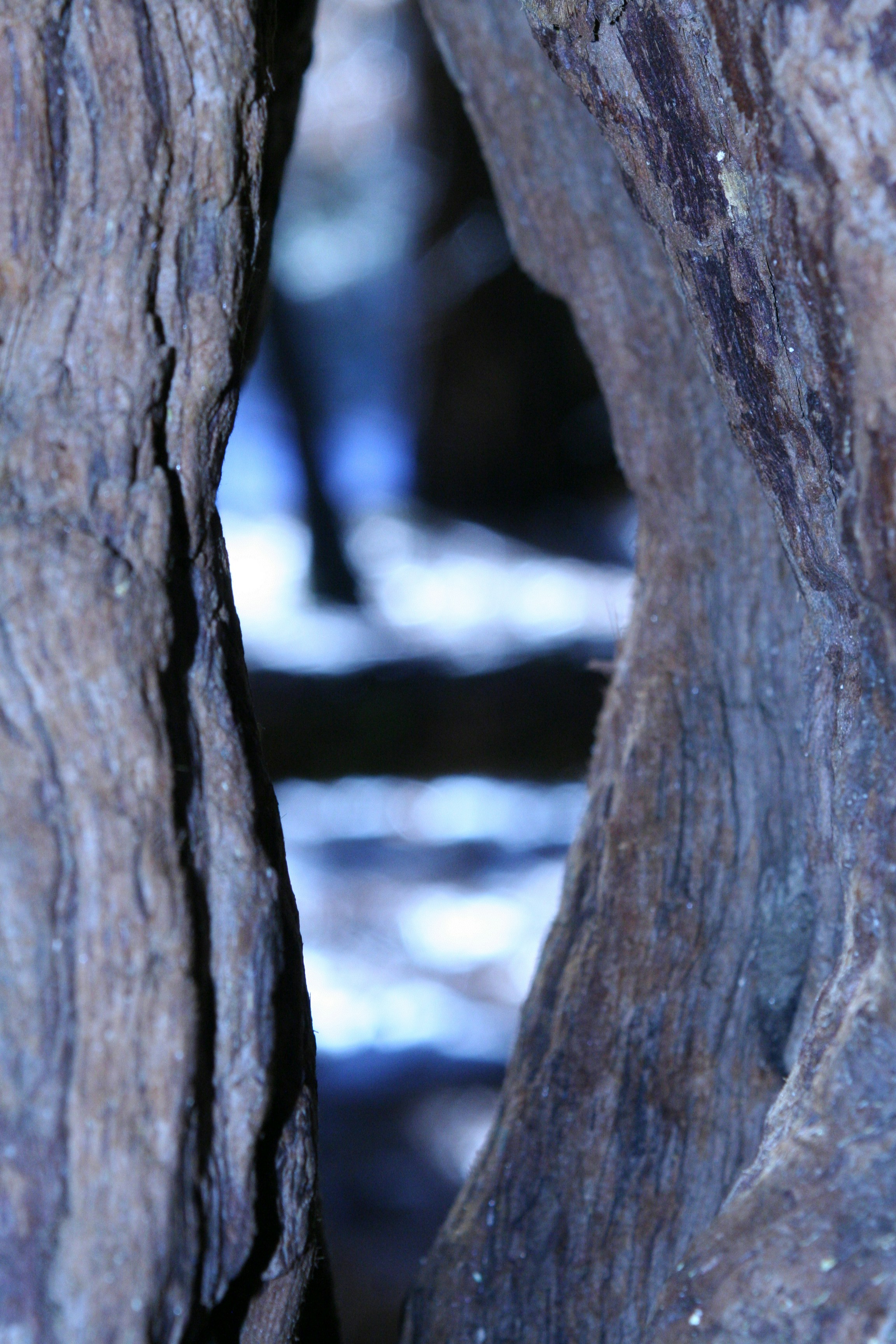 Free Unsplash photo from Jacob Stout