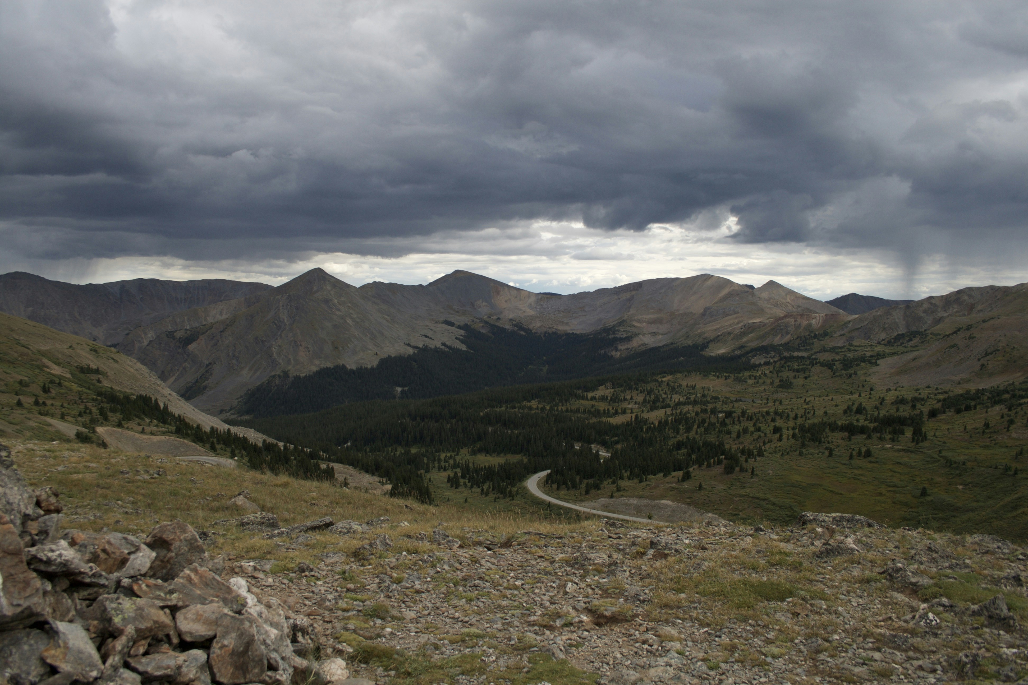 Free Unsplash photo from Kelly Austin