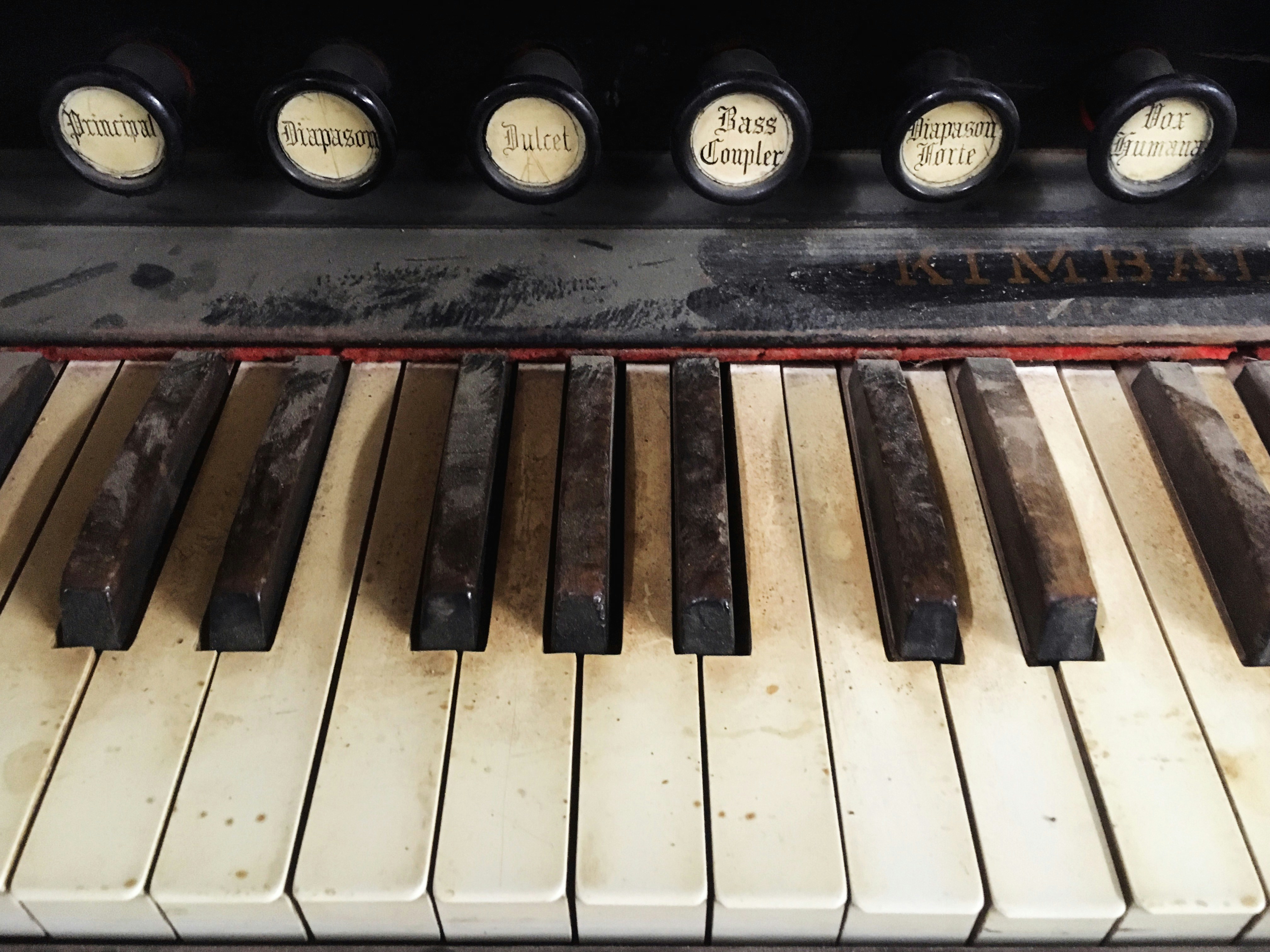 Free Unsplash photo from Callie Cain