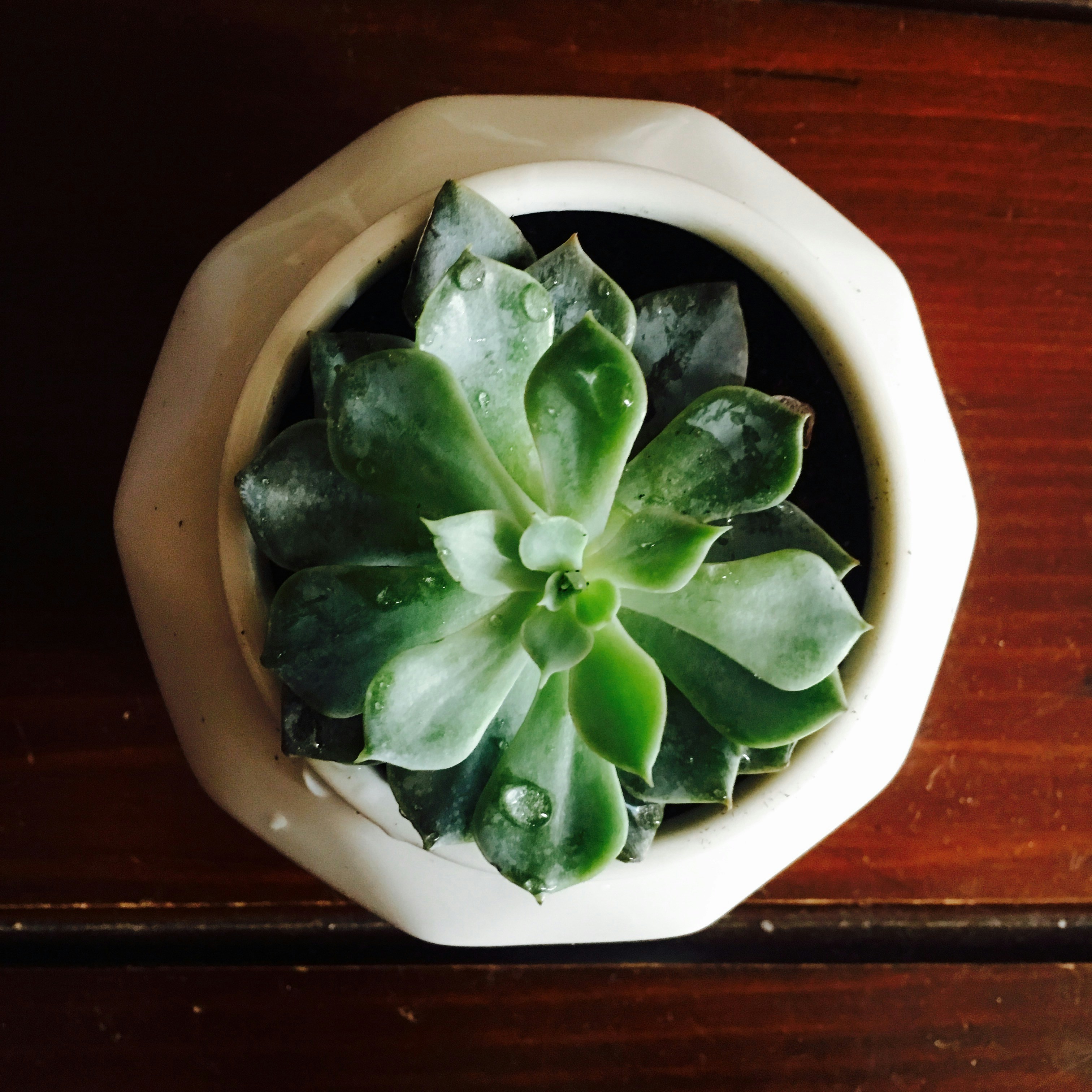 Free Unsplash photo from Callie Cain