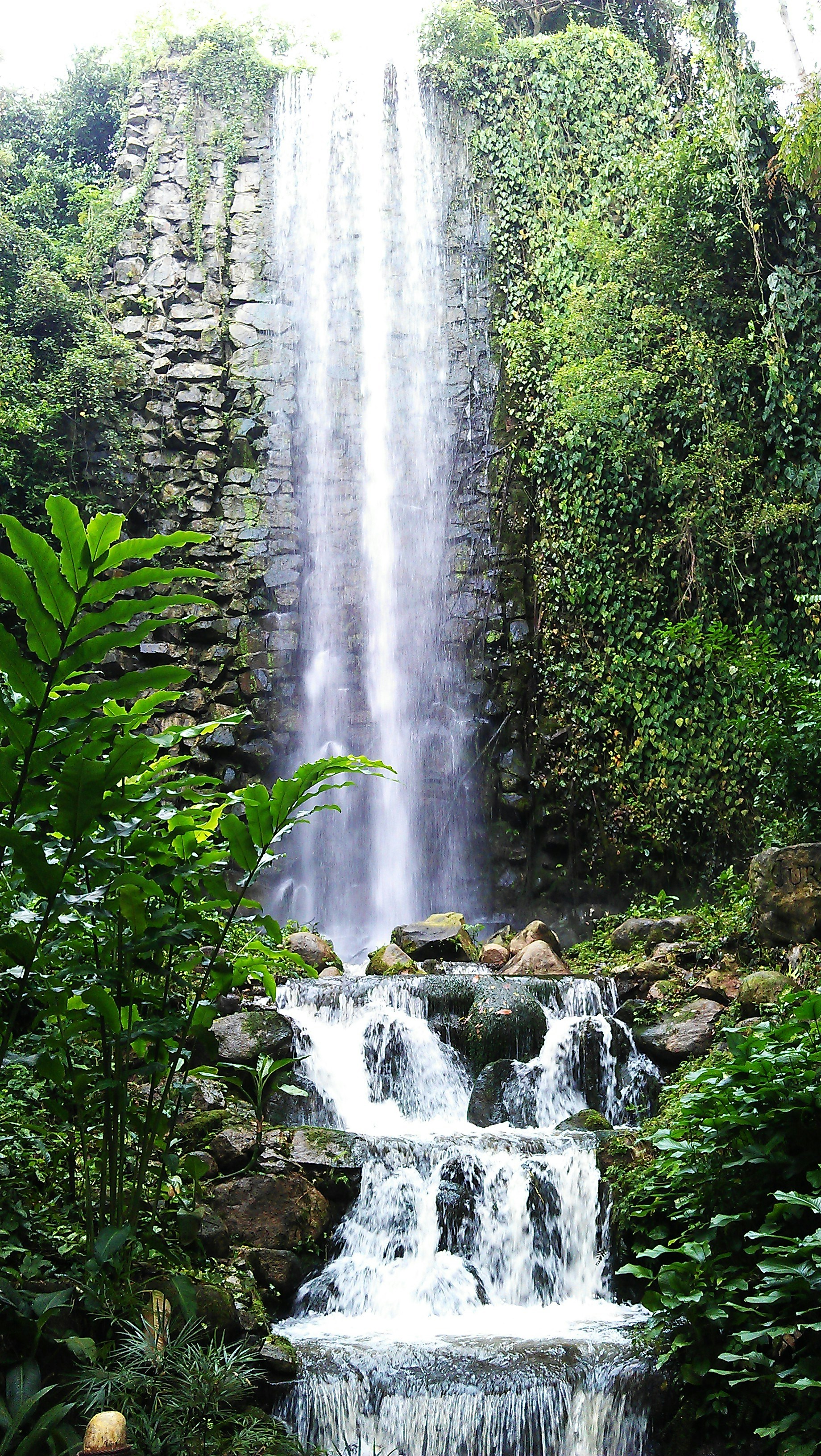 Free Unsplash photo from Ree Rita