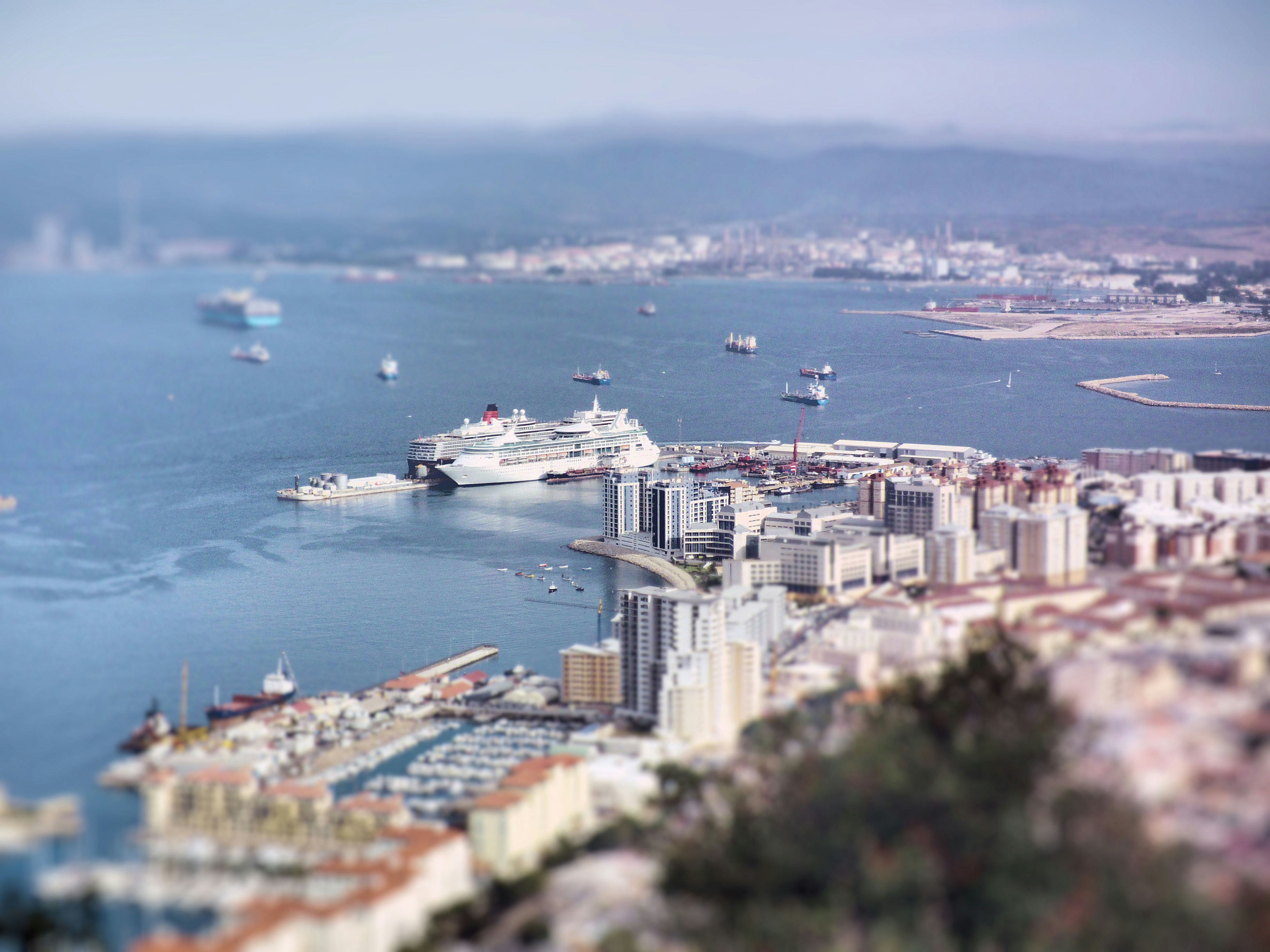 Free Unsplash photo from Lukas W