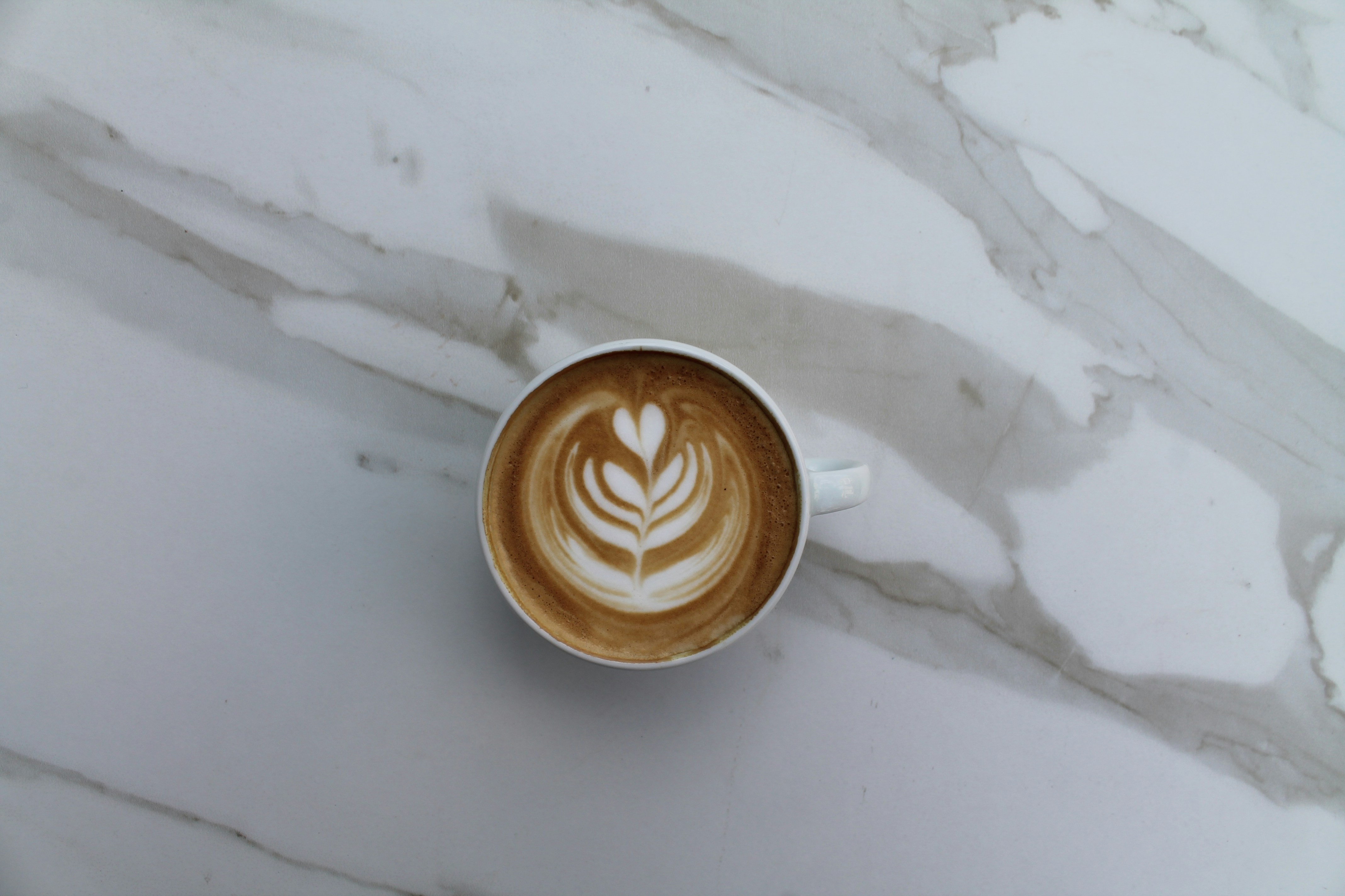 Free Unsplash photo from Maayan Trudel