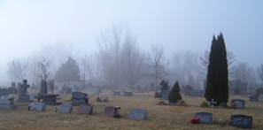A foggy cemetery at dusk with weathered tombstones.