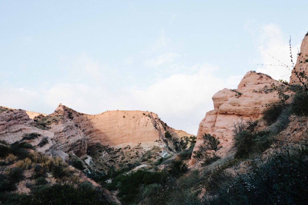 brown rock formation with green bushes