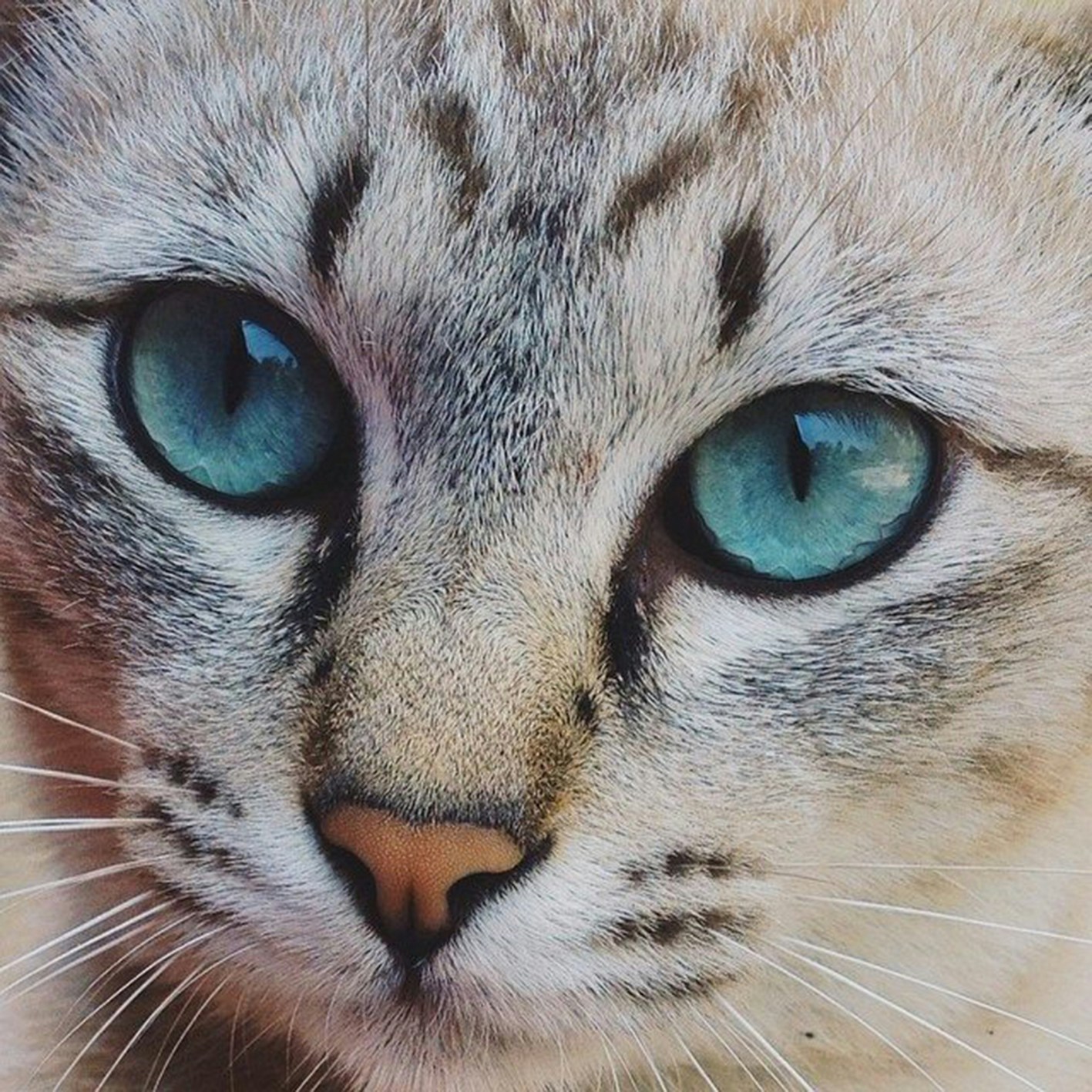 Free Unsplash photo from kitsanoo