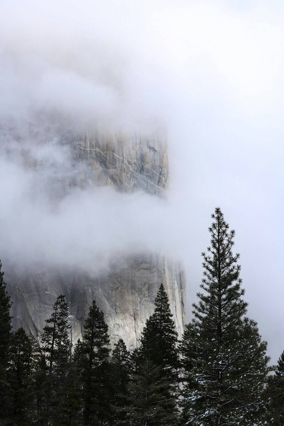 Forest photo spot Yosemite National Park Taft Point