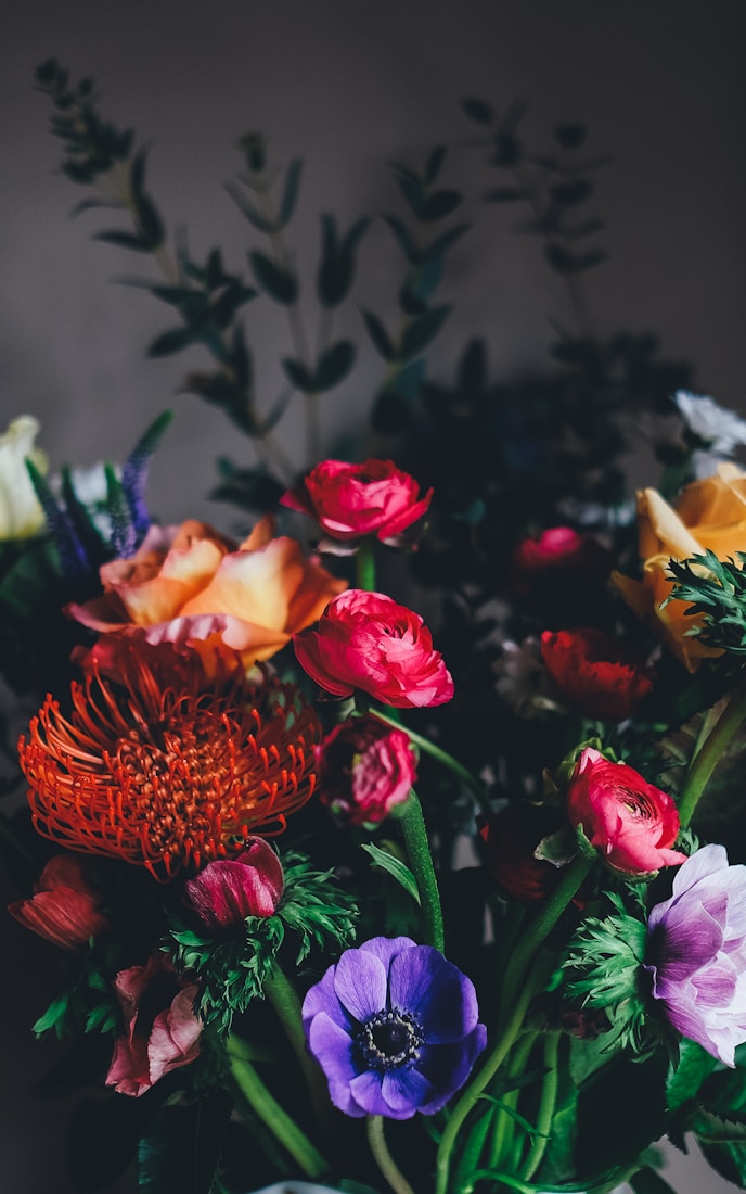 Deep red and orange flowers against a dark ground