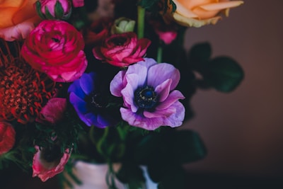 A vibrant bouquet of flowers featuring an array of colors, including deep pinks, purples, blues, and oranges. The flowers appear fresh and are arranged closely together with green leaves providing contrast.