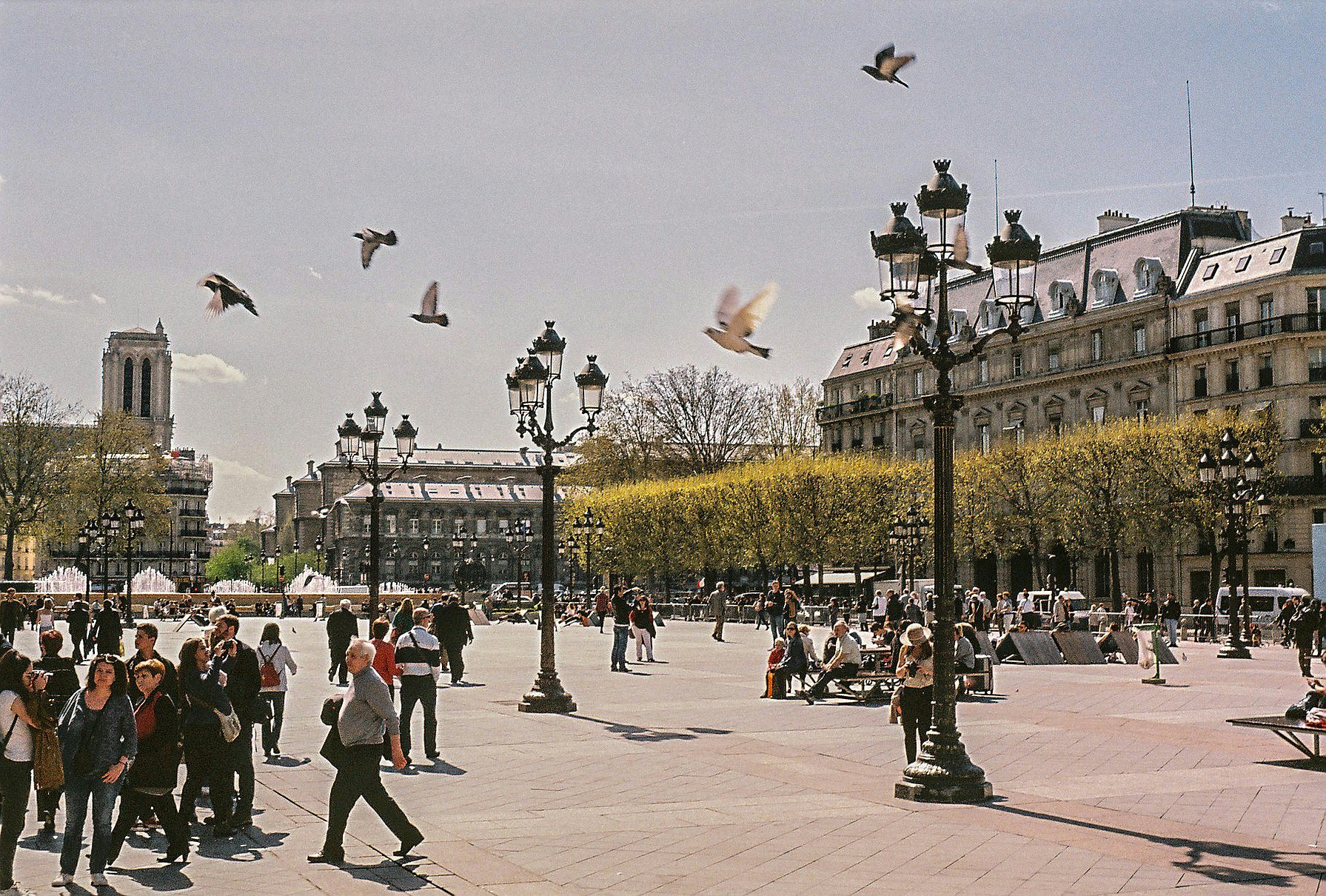 Free Unsplash photo from Sarah Perret