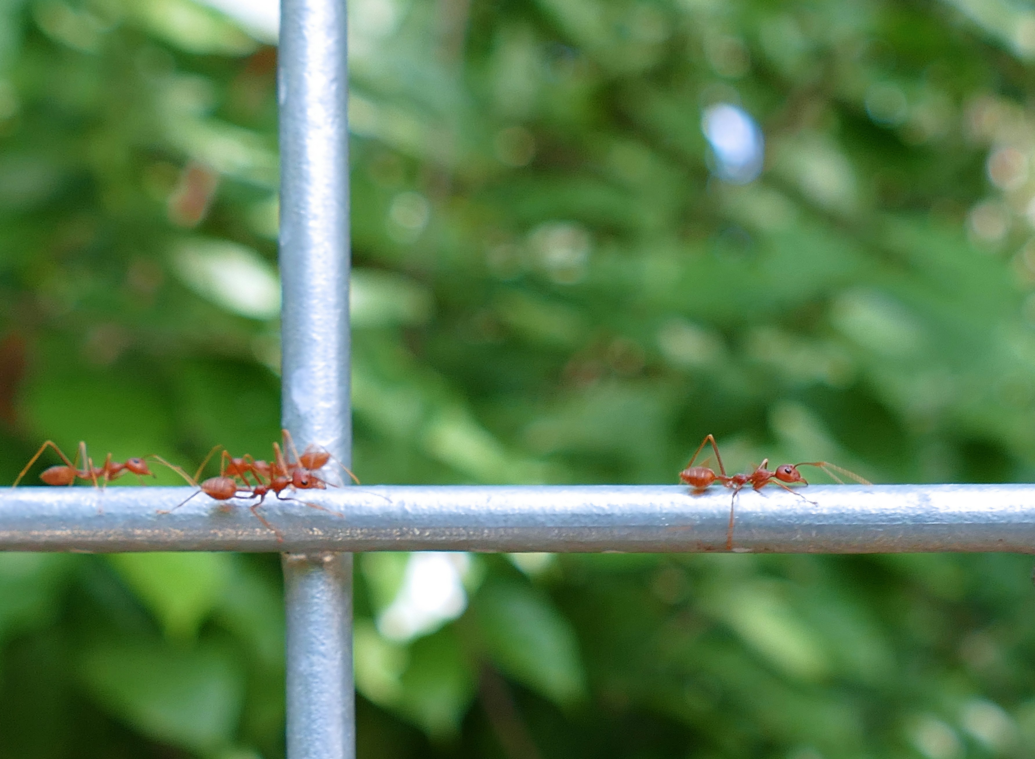 Free Unsplash photo from qinghill