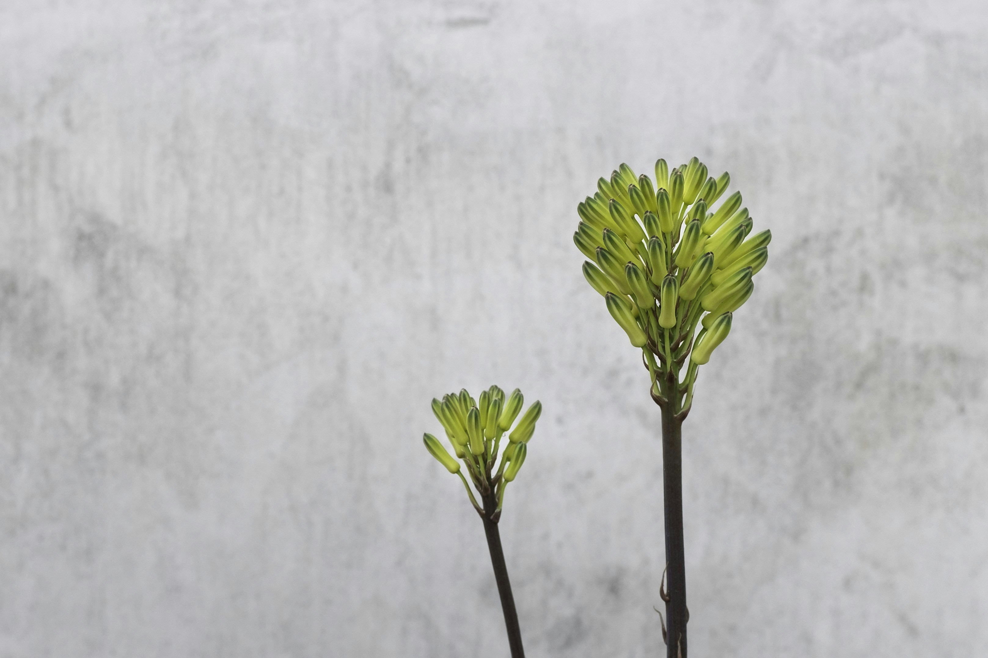 Photo By Charlie Deets