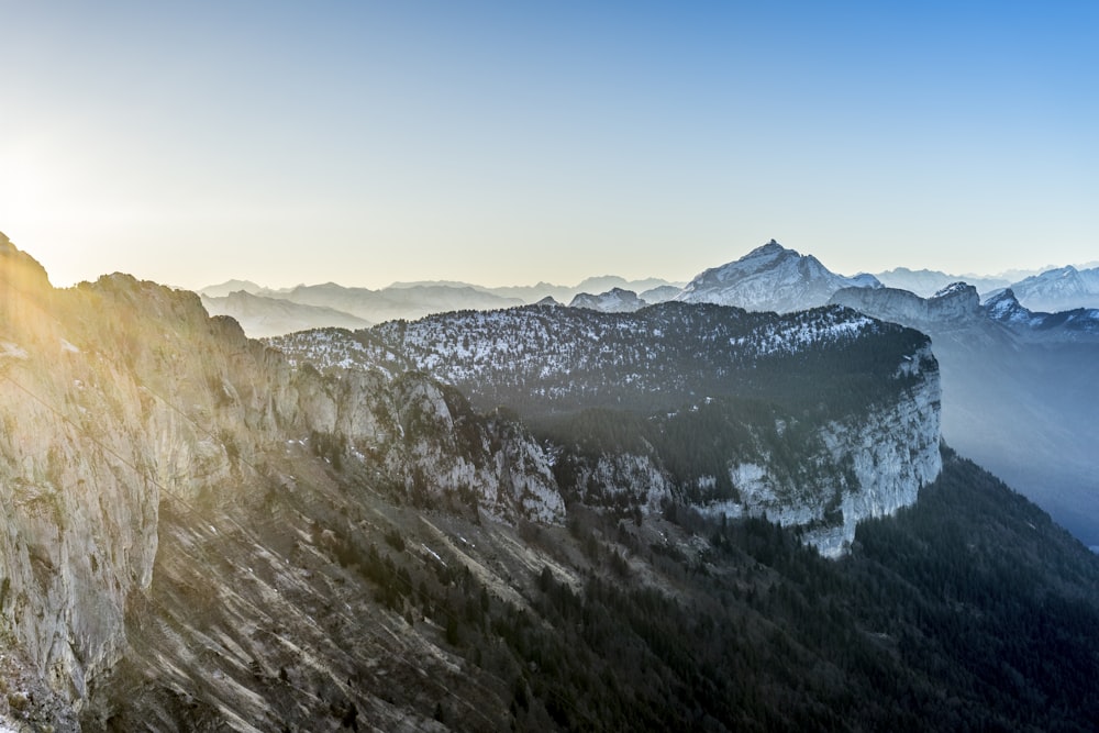 trees on cliff under clear sky