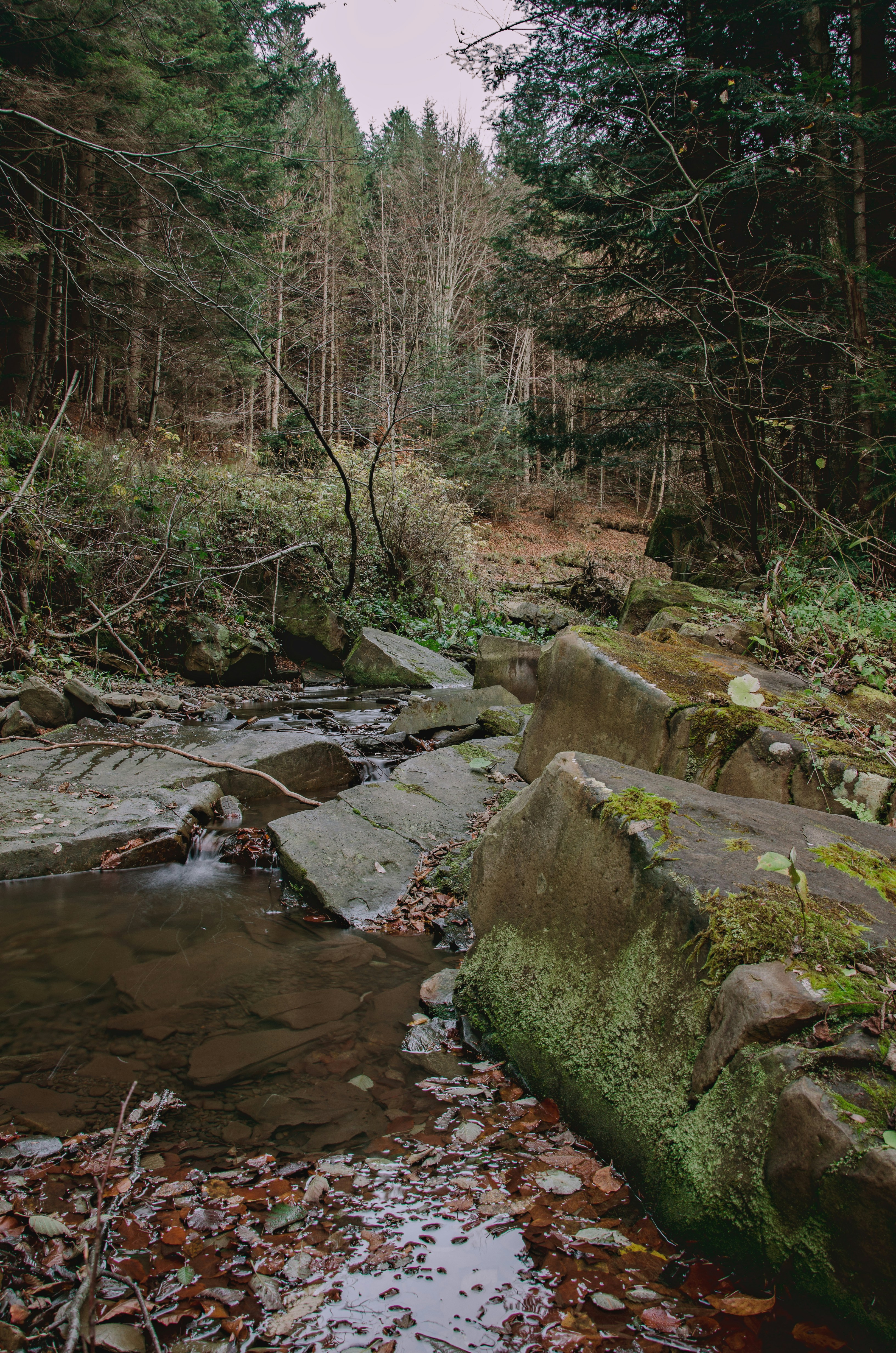 Free Unsplash photo from Sergey Bakhvalov