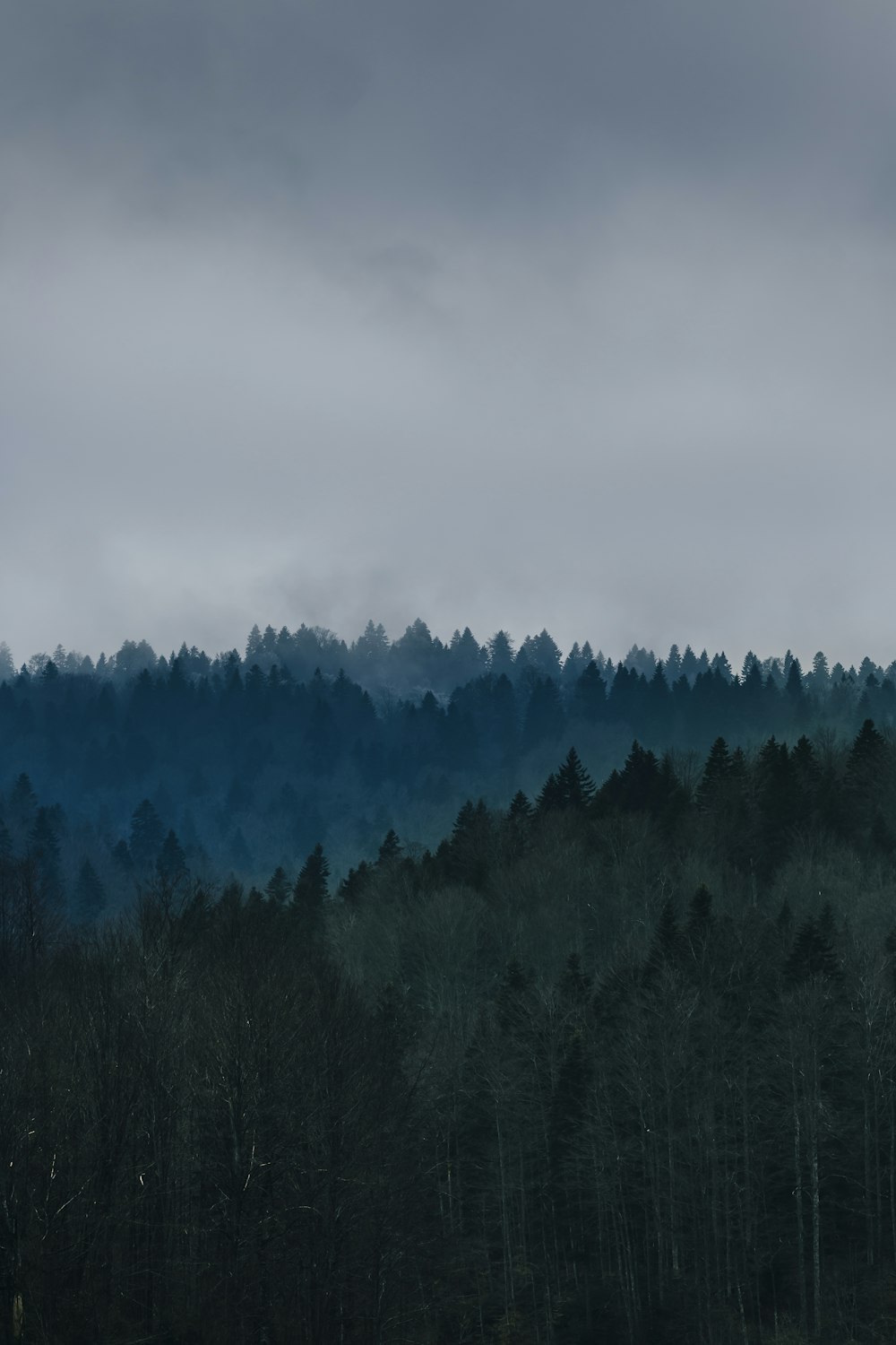 Tierras brumosas con nubes grises