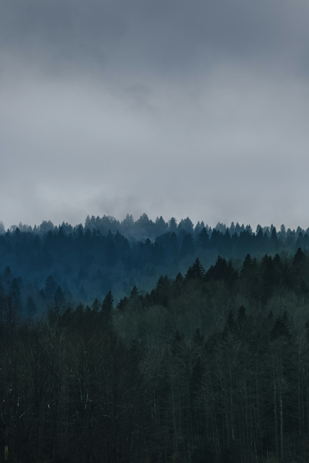 灰色の雲が浮かぶ霧の国