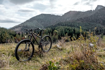 A mountain bike is parked on a grassy area surrounded by small plants. In the background, there are expansive green forests covering rolling hills and mountains under a cloudy sky.