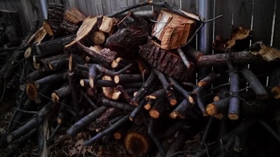 A large stack of cut firewood arranged against a wooden fence. The logs vary in size, with some being larger blocks and others being smaller branches. The wood shows natural textures and has been cut with visible tree rings on the ends.