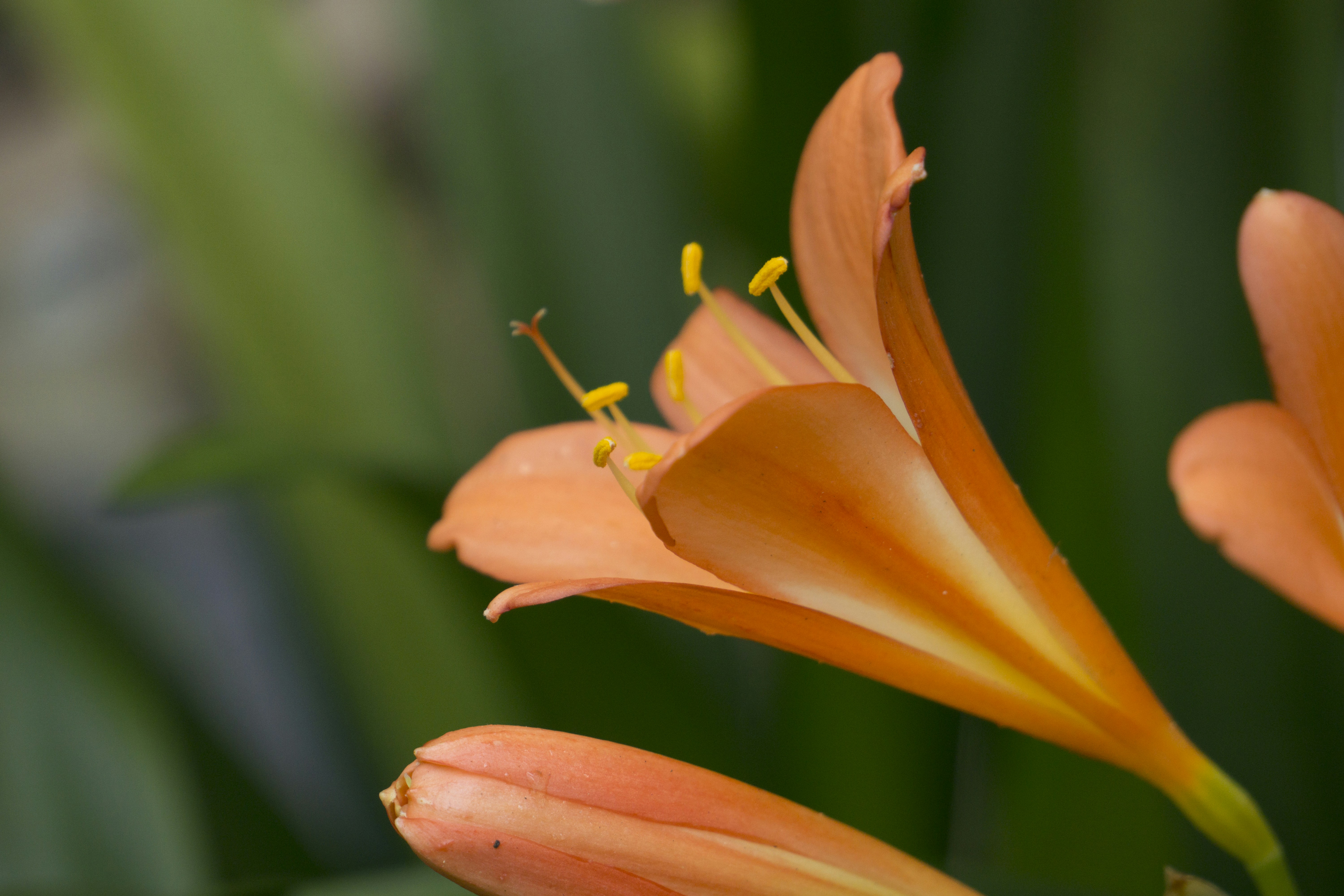 Free Unsplash photo from Jessica Weiller