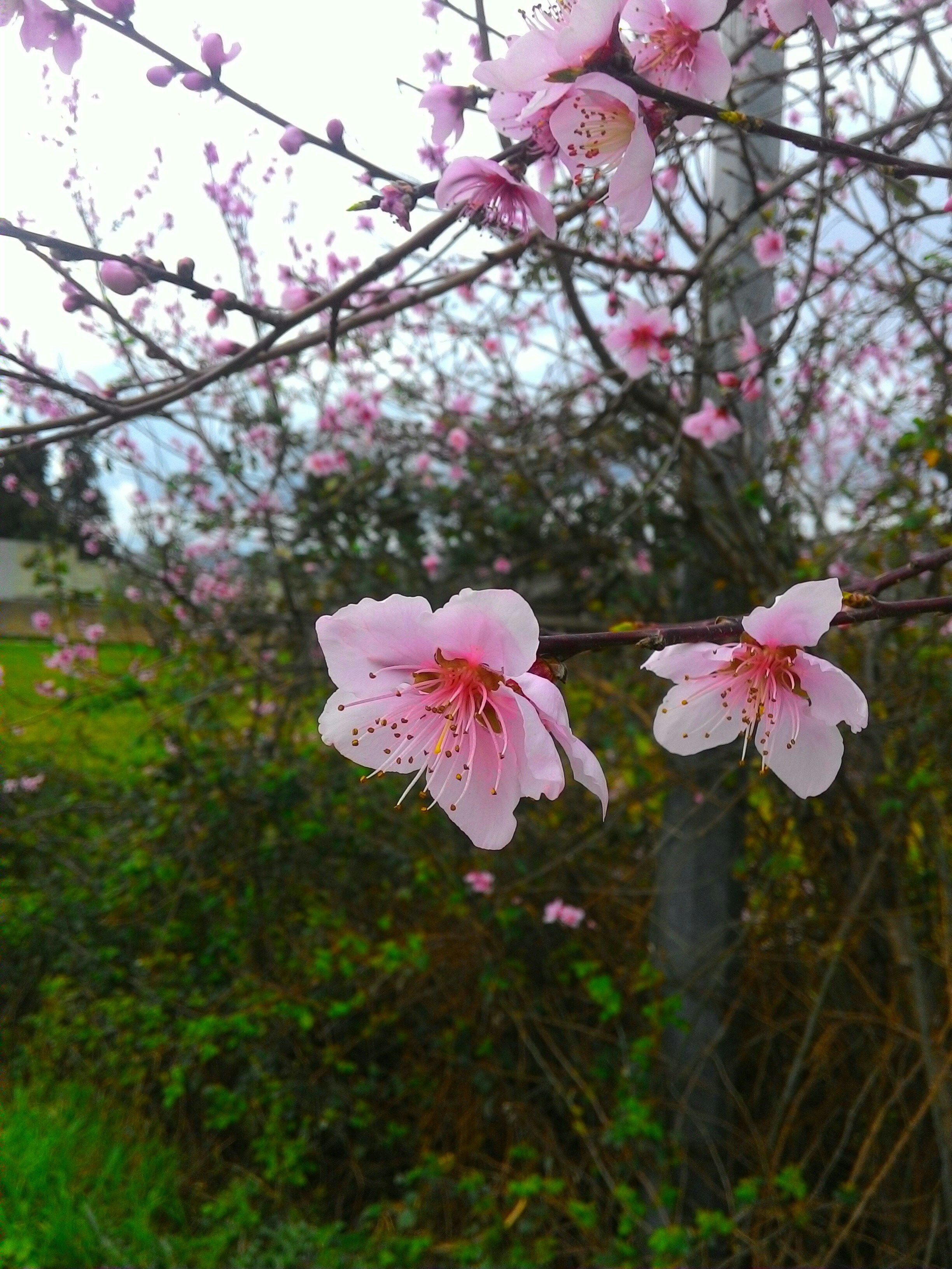 Free Unsplash photo from Andrea Catrini