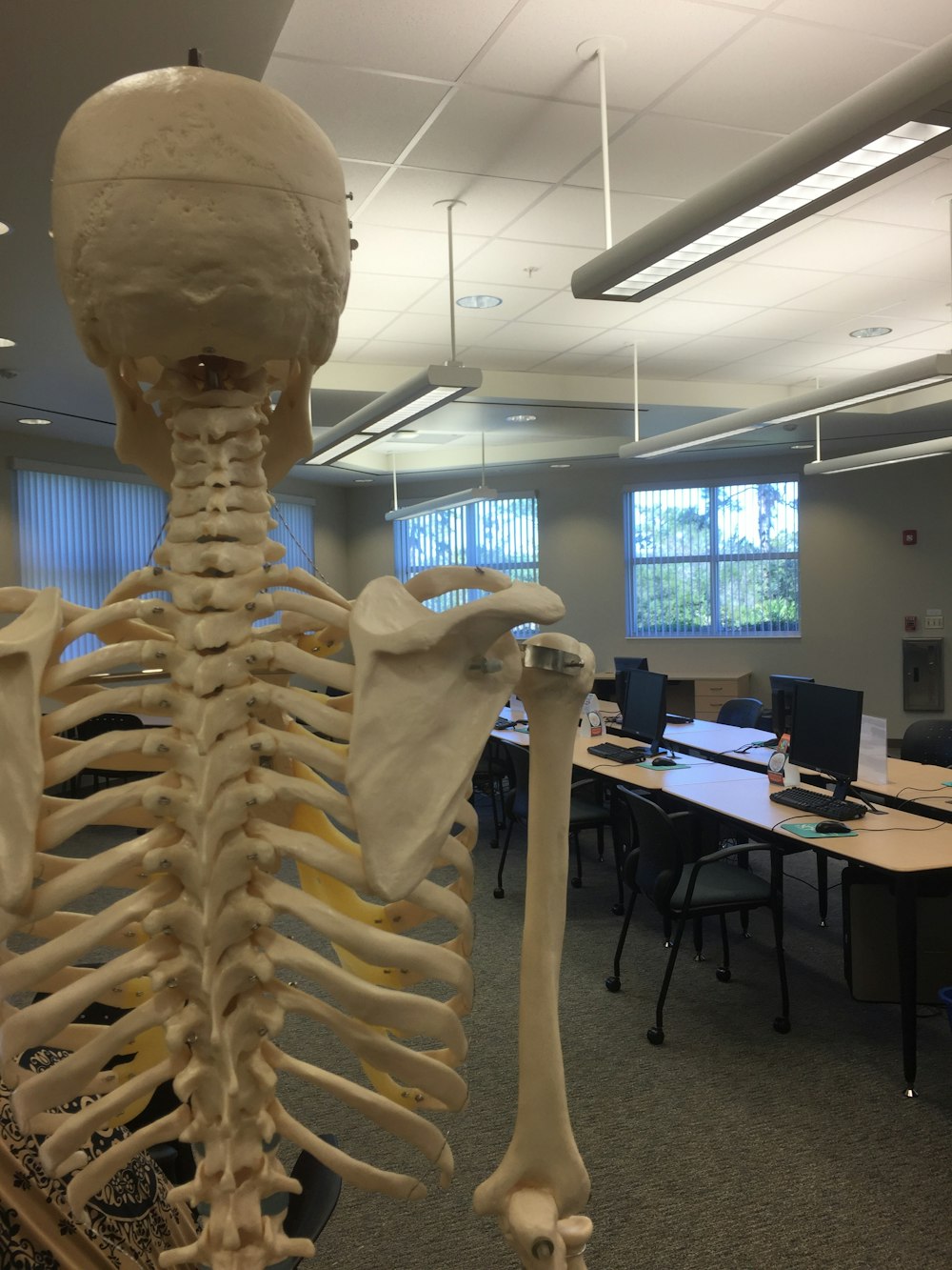A skeleton in a classroom.