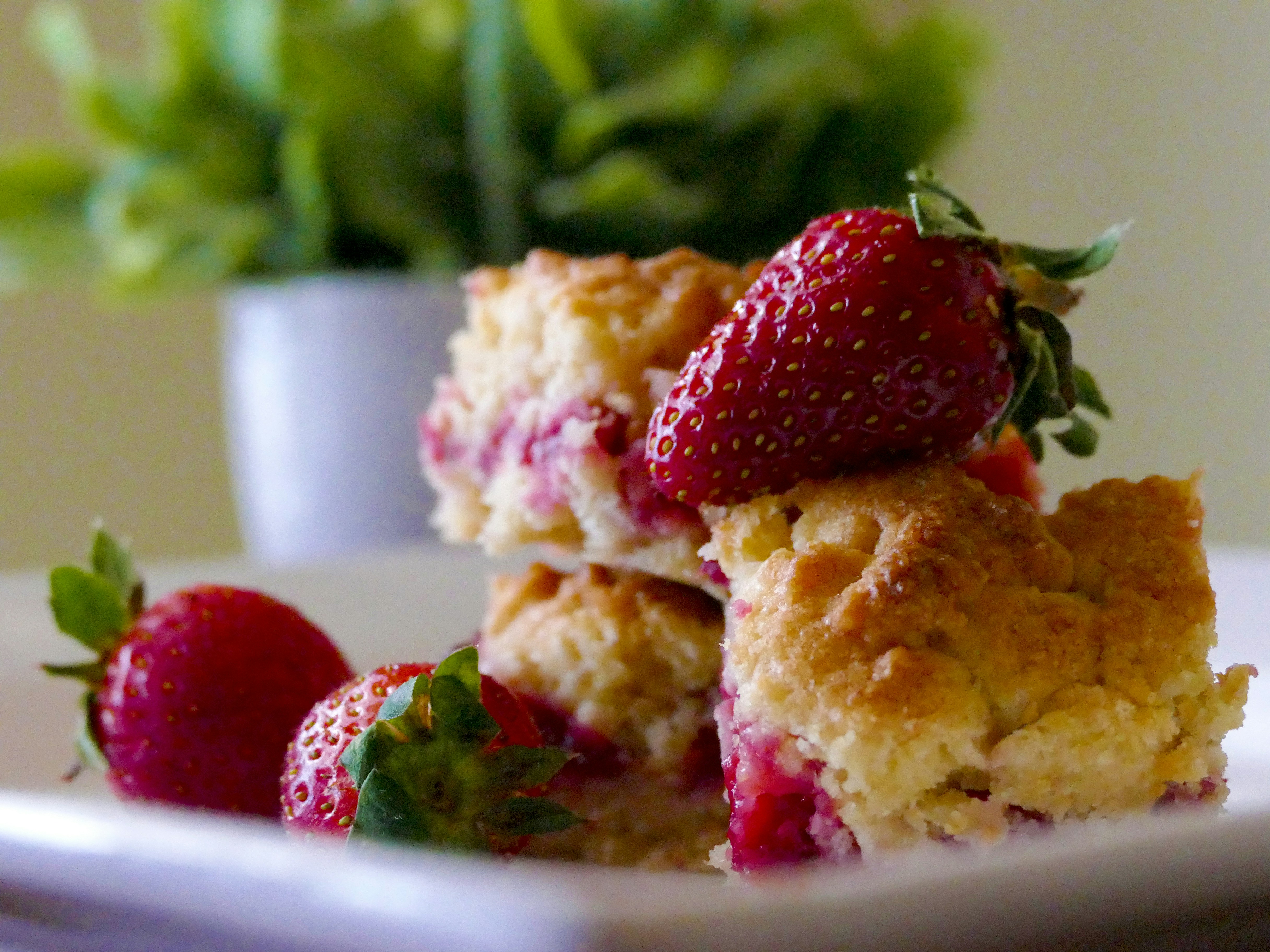 Free Unsplash photo from qinghill