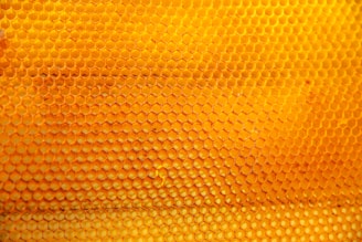 A close-up view of a honeycomb structure made of numerous hexagonal cells, varying in shades of yellow to orange, conveying a sense of natural organization and symmetry.