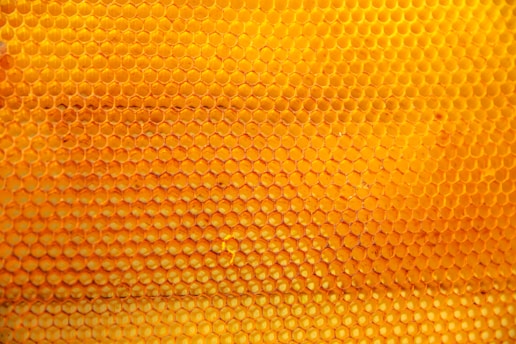 A close-up view of a honeycomb structure made of numerous hexagonal cells, varying in shades of yellow to orange, conveying a sense of natural organization and symmetry.