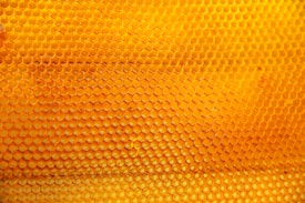 A close-up view of a honeycomb structure made of numerous hexagonal cells, varying in shades of yellow to orange, conveying a sense of natural organization and symmetry.