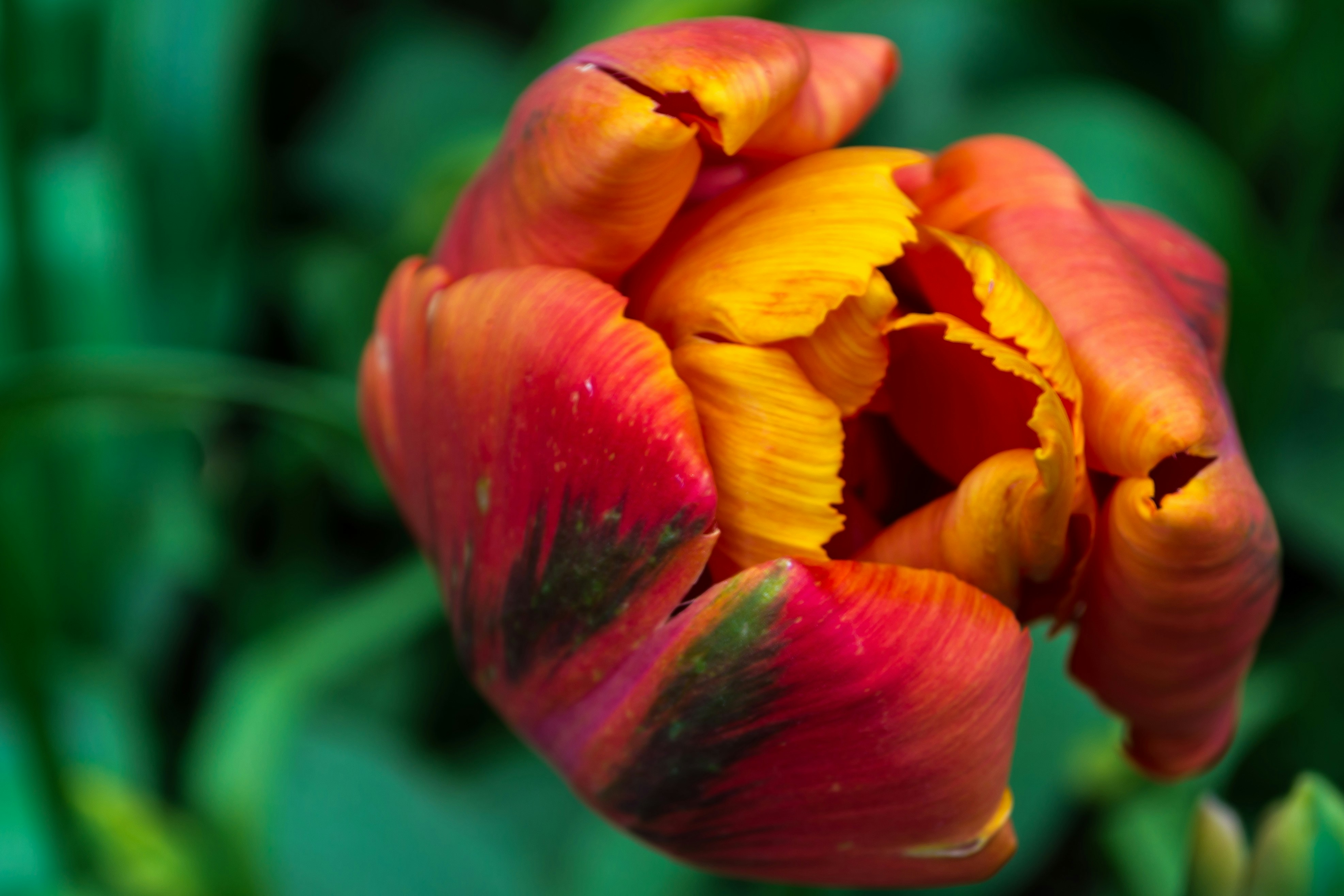 Photo By Sergei Akulich