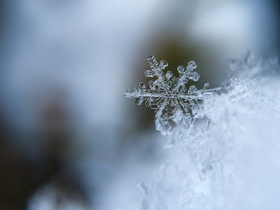 focused photo of a snow flake snow zoom background