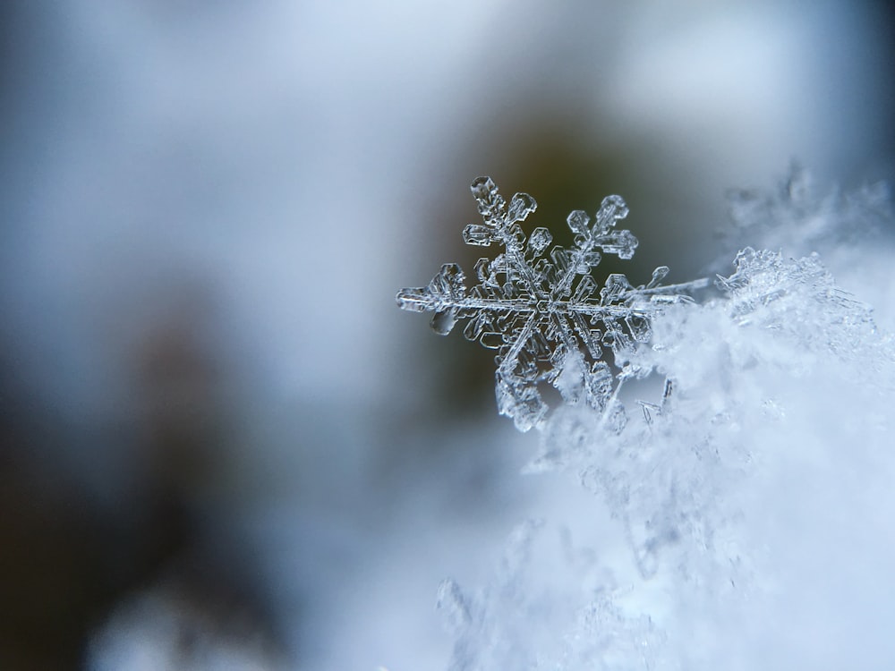 foto focalizzata di un fiocco di neve